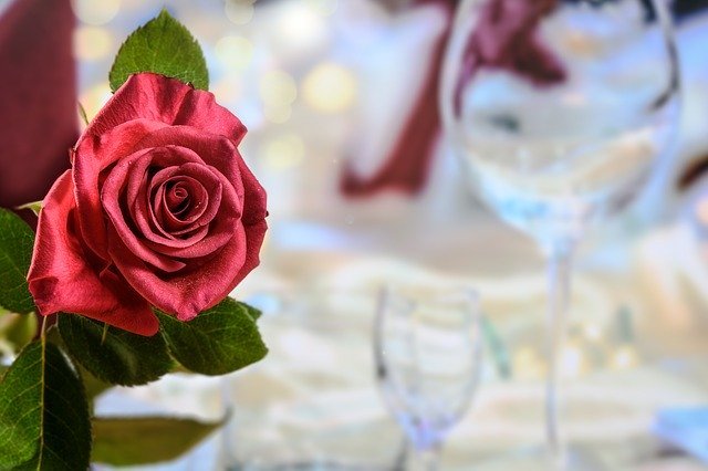 Dinner Red Rose Love - PhotoMIX-Company / Pixabay